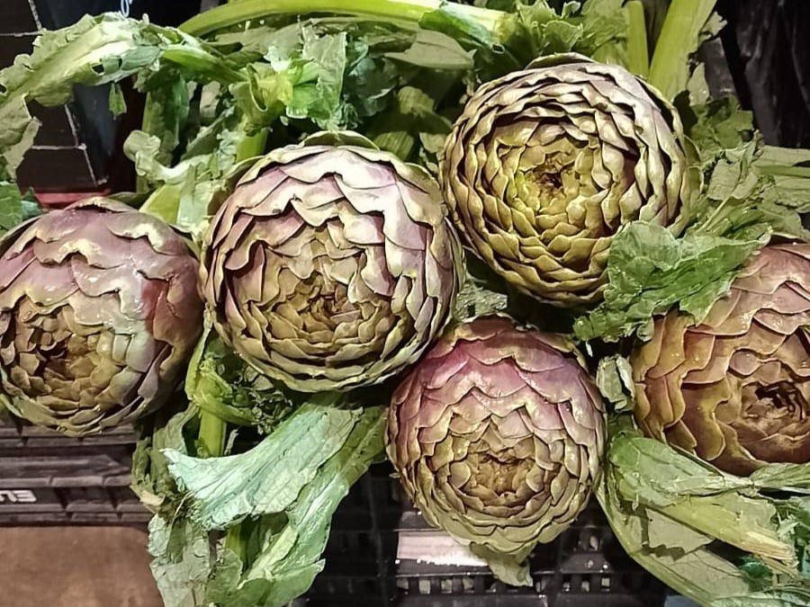 Carciofi per una ricetta delle Lasagne ai Carciofi in occasione della Pasqua